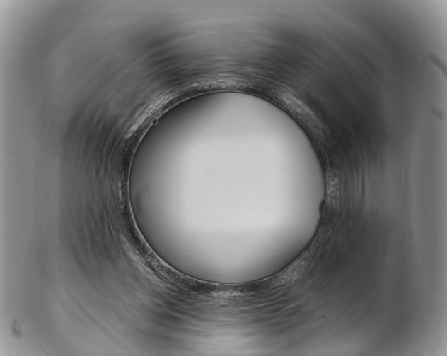 X0000103140158200808221112