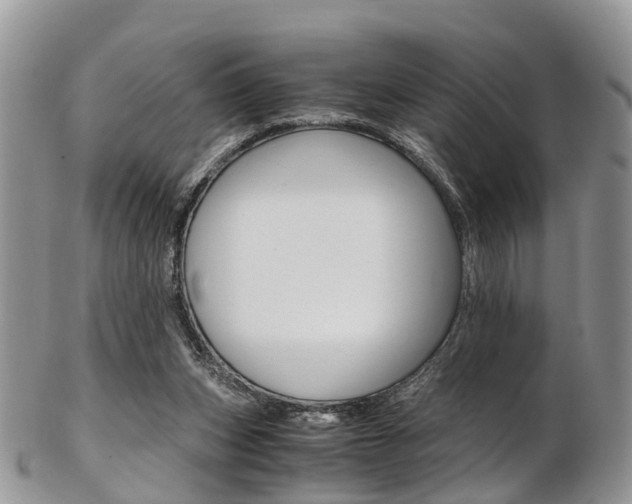 X0000103140159200808221112