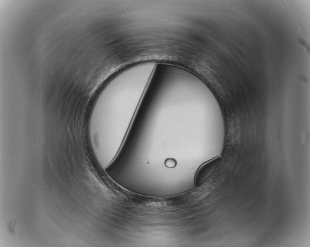 X0000103140160200808221112