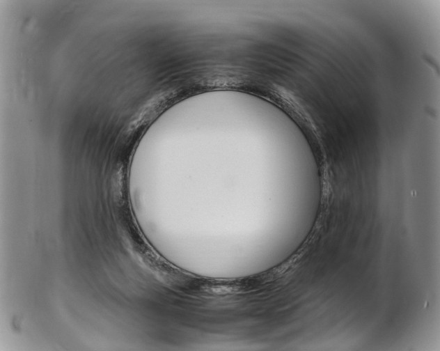 X0000103140163200808221112