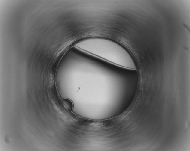 X0000103140164200808221112