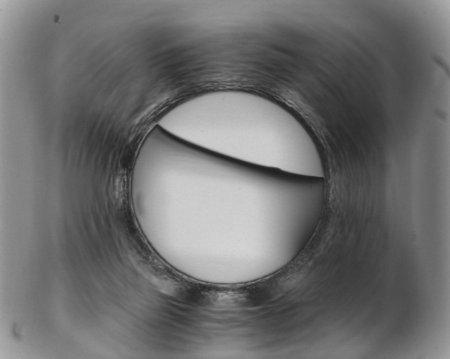 X0000103140165200808221112