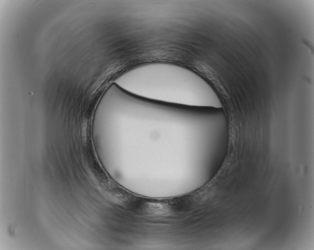 X0000103140167200808221112