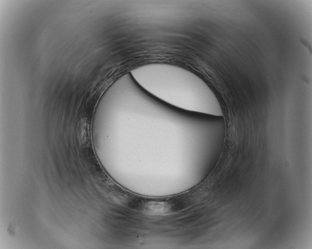 X0000103140169200808221112