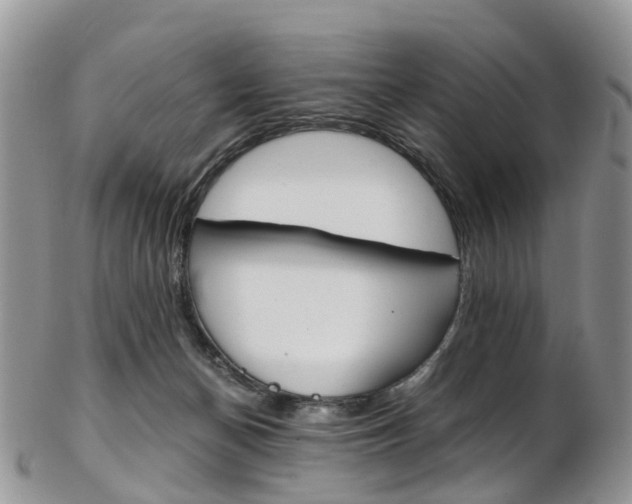 X0000103140174200808221112