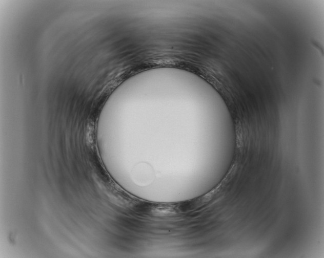 X0000103140175200808221112