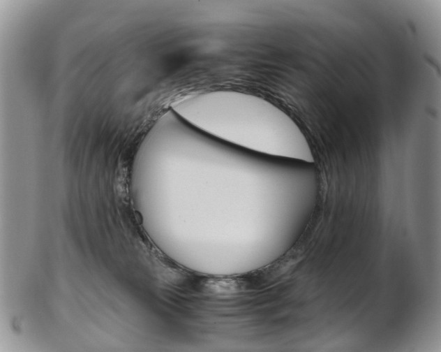 X0000103140181200808221112