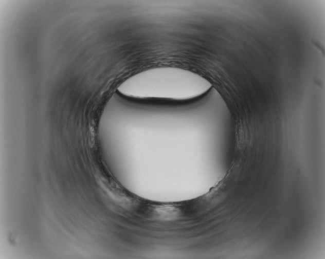 X0000103140183200808221112