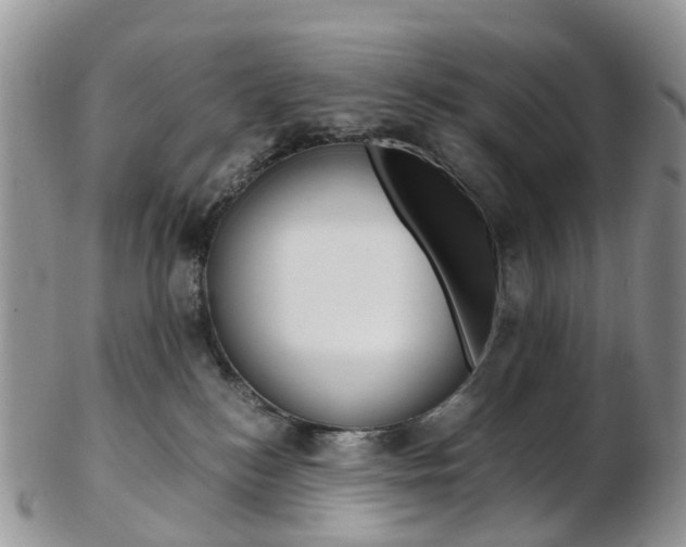 X0000103140184200808221112