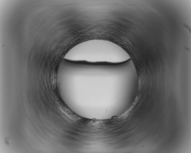 X0000103140186200808221113