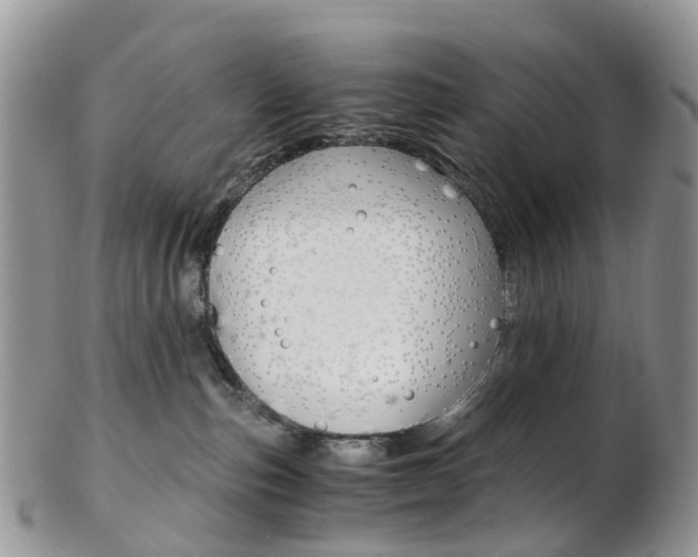 X0000103140187200808221113