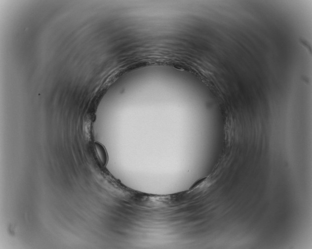 X0000103140188200808221113