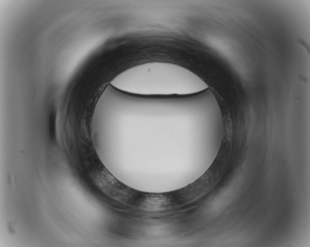 X0000103140189200808221113