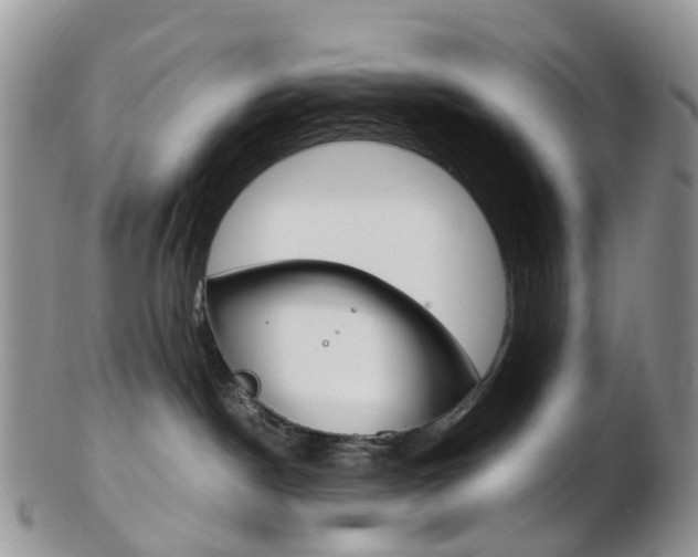 X0000103140190200808221113