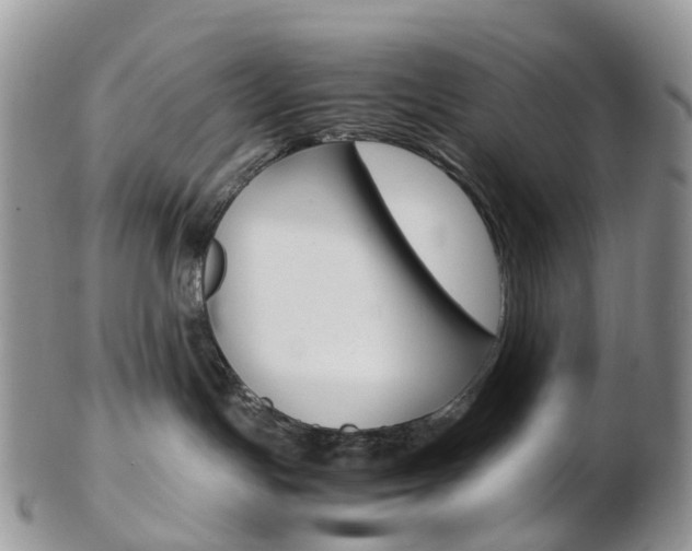 X0000103140191200808221113