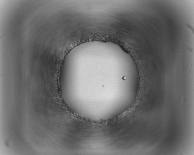 X0000103140192200808221113