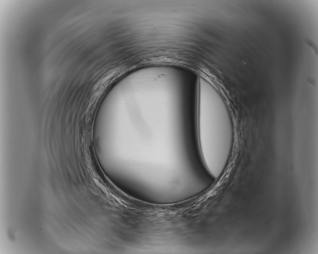 X0000103140193200808221112