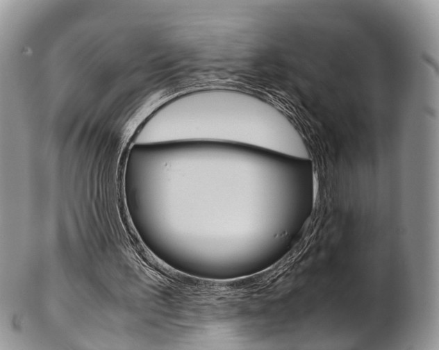 X0000103140195200808221112