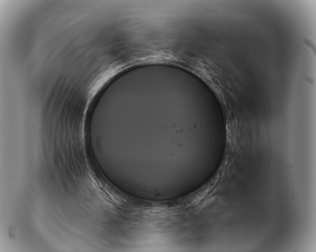 X0000103140196200808221112