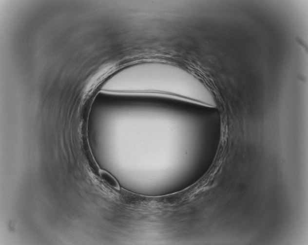 X0000103140197200808221112