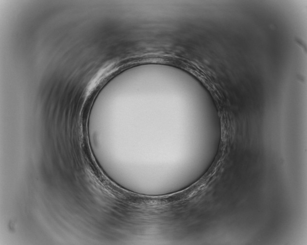 X0000103140198200808221112