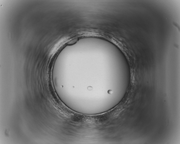 X0000103140199200808221112