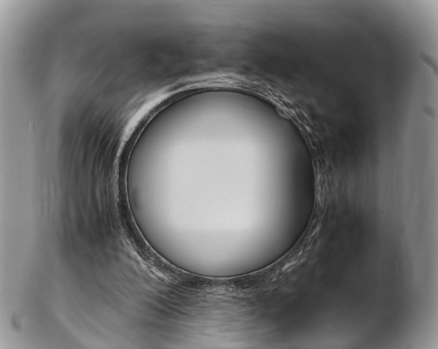 X0000103140200200808221112