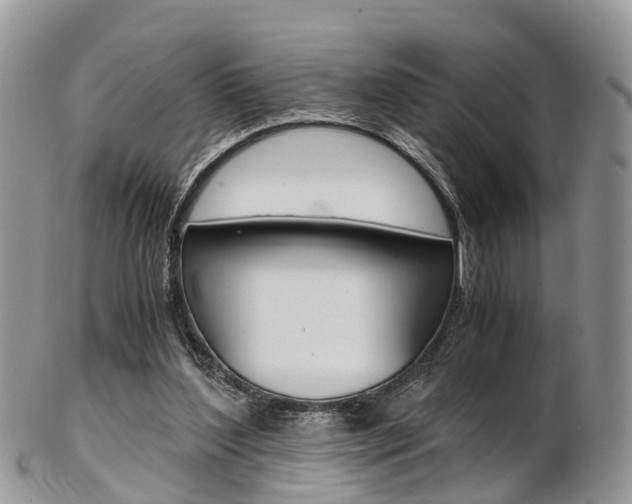 X0000103140204200808221112