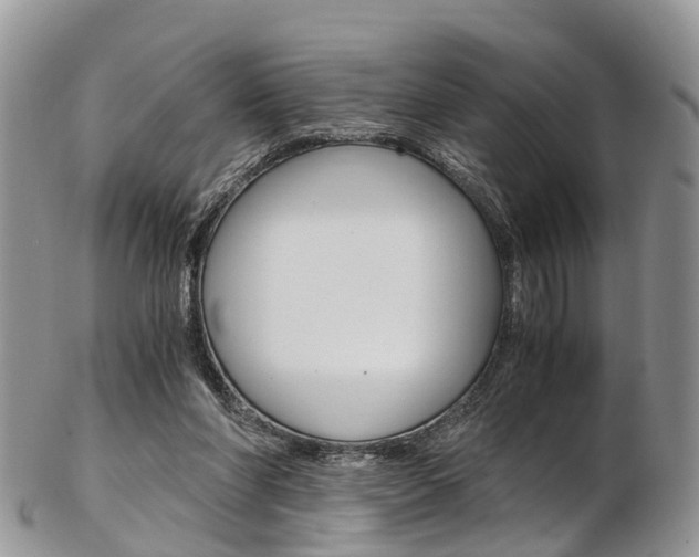 X0000103140206200808221112