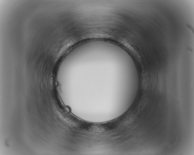 X0000103140207200808221112