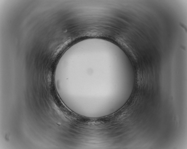 X0000103140208200808221112