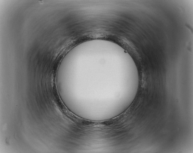 X0000103140210200808221112