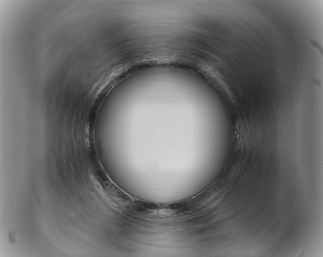 X0000103140212200808221112