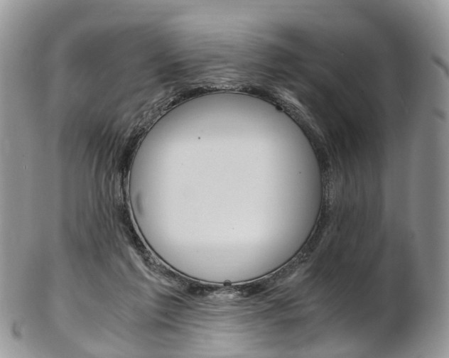 X0000103140213200808221112