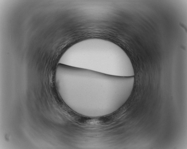 X0000103140219200808221111