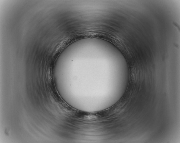 X0000103140220200808221111