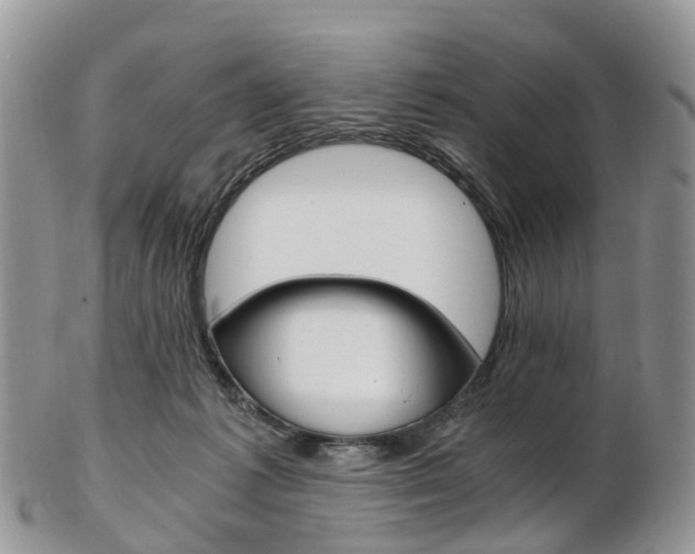 X0000103140221200808221111