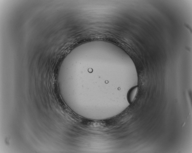 X0000103140223200808221111