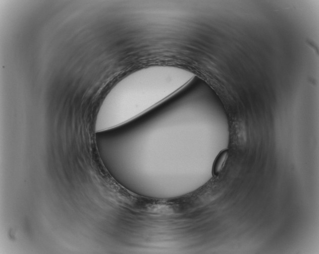 X0000103140224200808221111