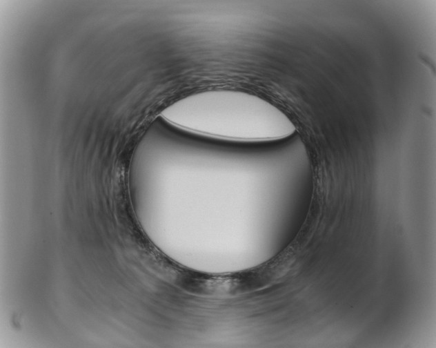 X0000103140225200808221111