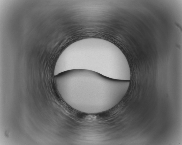 X0000103140227200808221111