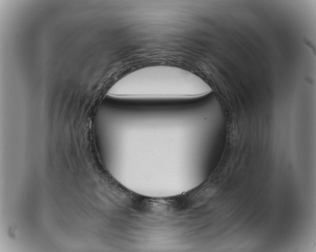 X0000103140229200808221111