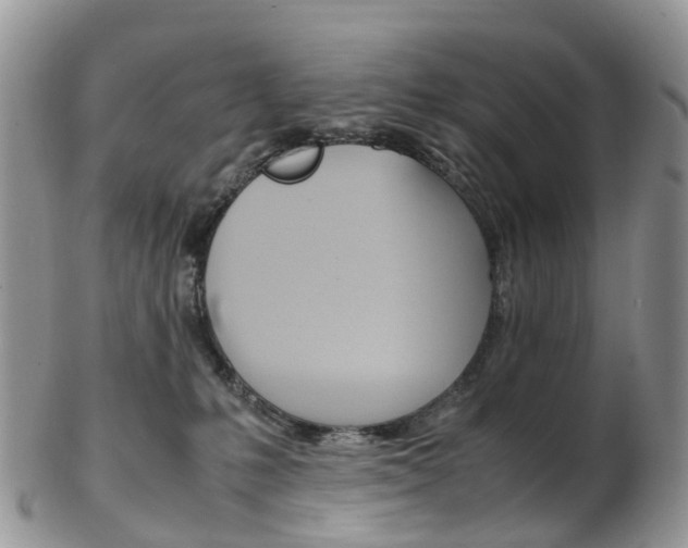 X0000103140231200808221111