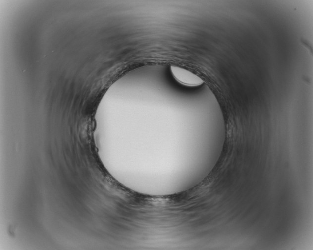 X0000103140233200808221111