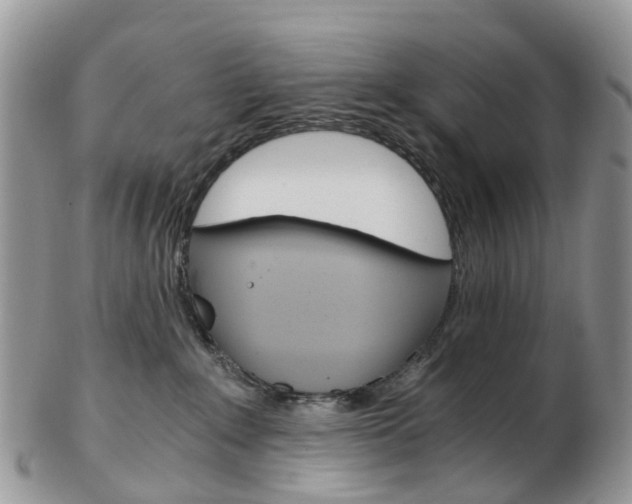 X0000103140235200808221111