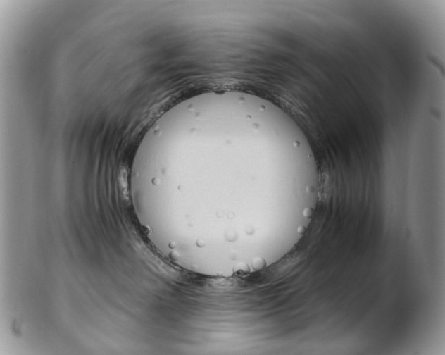 X0000103140238200808221111