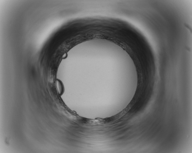 X0000103140239200808221111