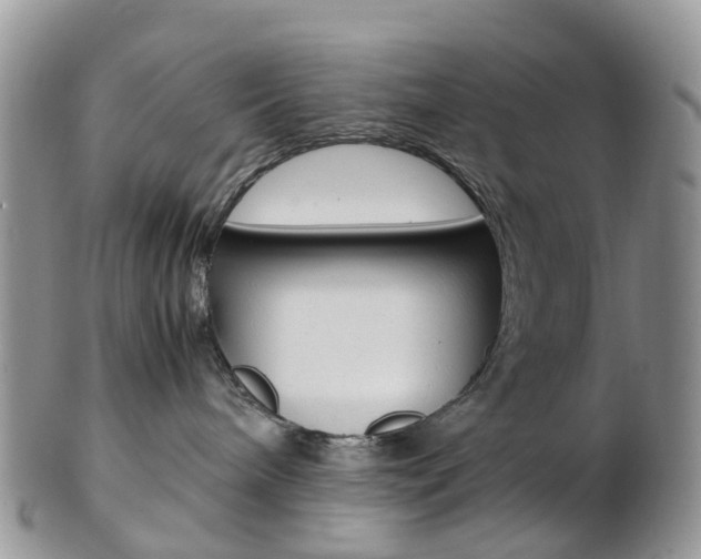 X0000103140240200808221111