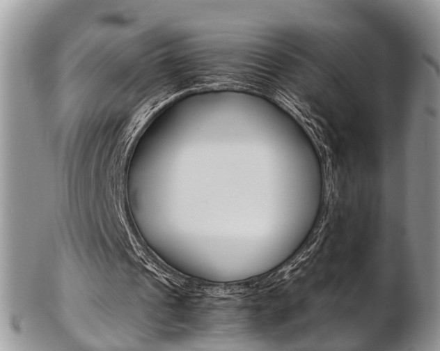 X0000103140241200808221110