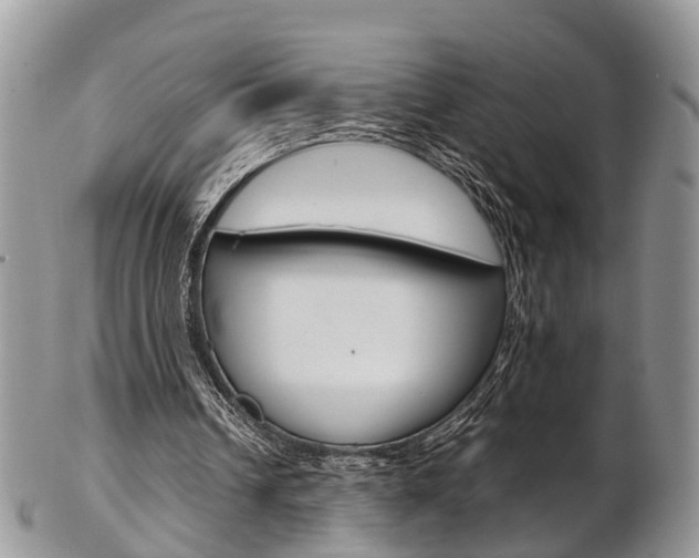 X0000103140242200808221110